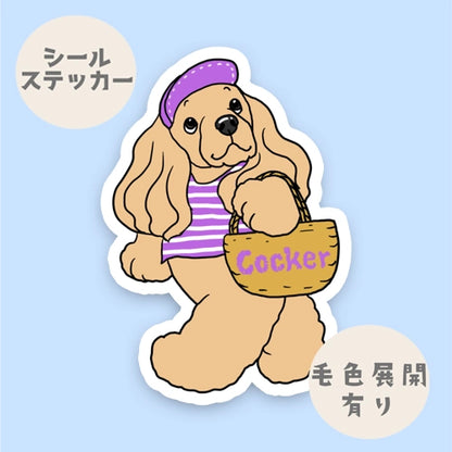 夏の日のお買い物のアメコカちゃん。5-20