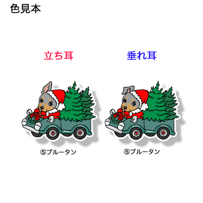 ツリーの配達中のミニピンちゃん。113-12