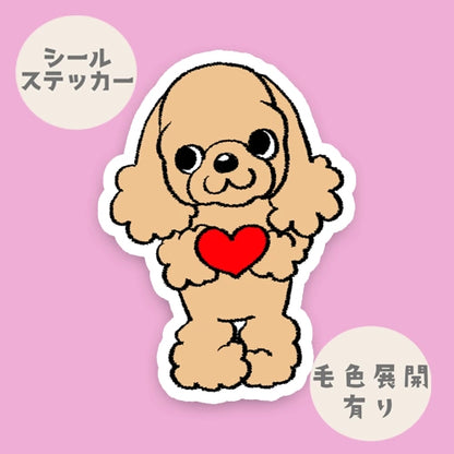ラブを伝えたいアメコカちゃん。5-18