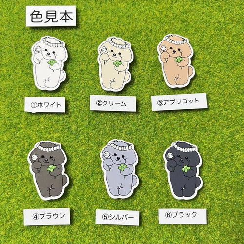 シロツメクサの花冠のプードルちゃん。87-