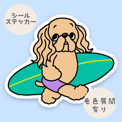 サーファーアメコカちゃん。5-22