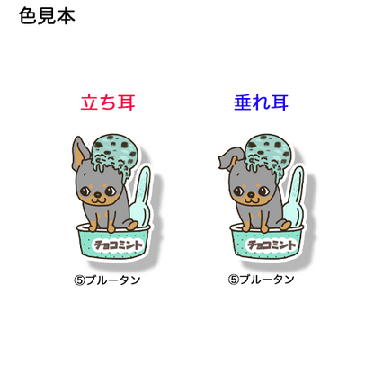 チョコミントアイスからでてきたミニピンちゃん。113-21