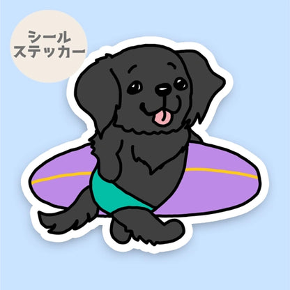 サーファーフラッティーちゃん。91-