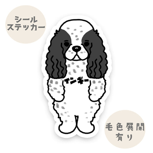 インギー。10-1