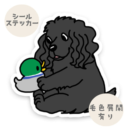 遊んでるインギーちゃん。10-3
