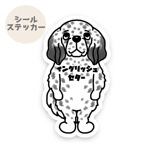 イングリッシュセター。12-1