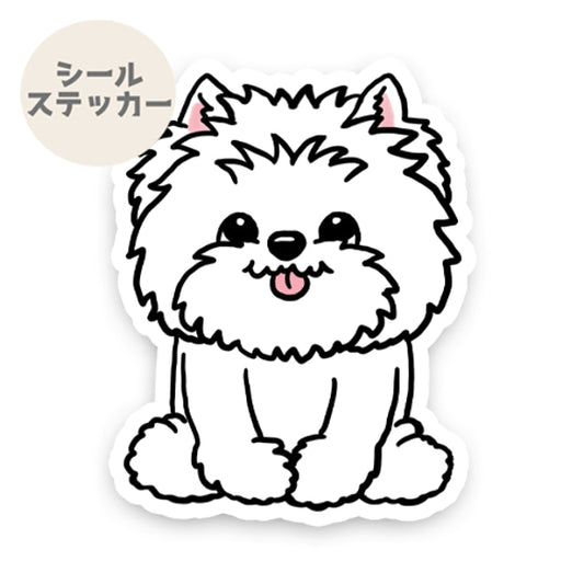 おすわりしてるウェスティちゃん。14-2