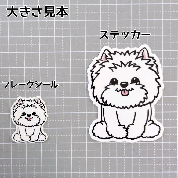 おすわりしてるウェスティちゃん。14-2