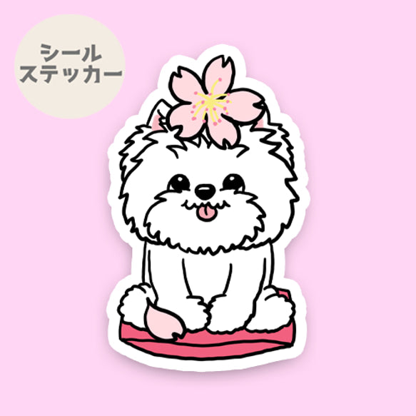 ウェスティちゃんの春のご挨拶。14-11