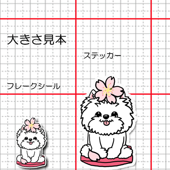 ウェスティちゃんの春のご挨拶。14-11