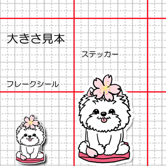 ウェスティちゃんの春のご挨拶。14-11