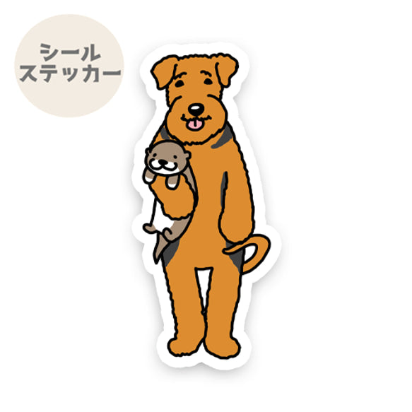 誰か来ないかなーって待ってるエアデールテリアちゃん。18-3