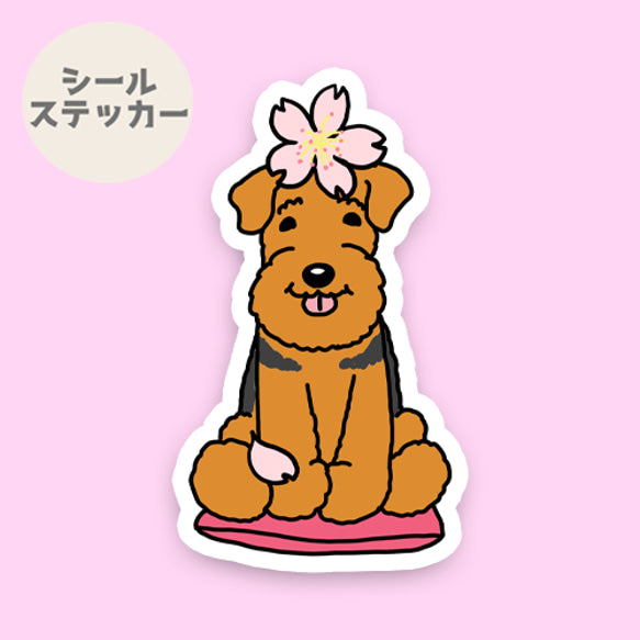 ウェルシュテリア/エアデールテリアさんの春のご挨拶。17-4/18-4