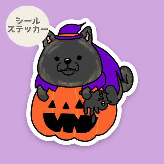 オバケカボチャと甲斐犬さん。22-2