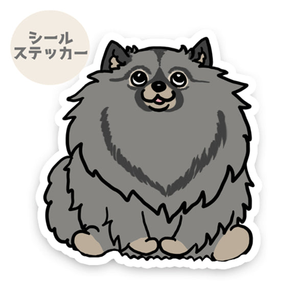 おすわりしてるキースホンドちゃん。24-1