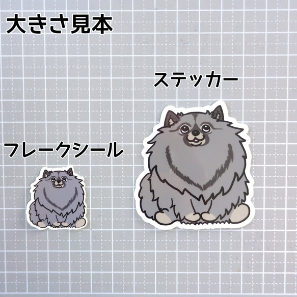 おすわりしてるキースホンドちゃん。24-1