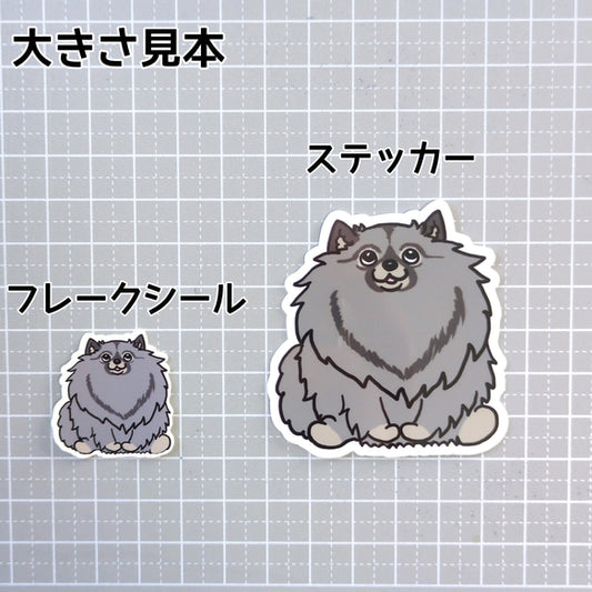 おすわりしてるキースホンドちゃん。24-1
