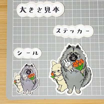 照れ屋のフレブルちゃんとキースホンドさん。24-15