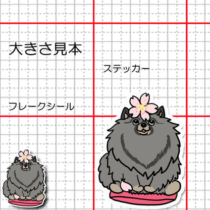 キースホンドちゃんの春のご挨拶24-3