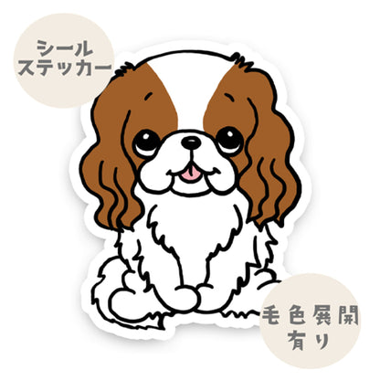おすわりしてるキャバリアちゃん。26-2