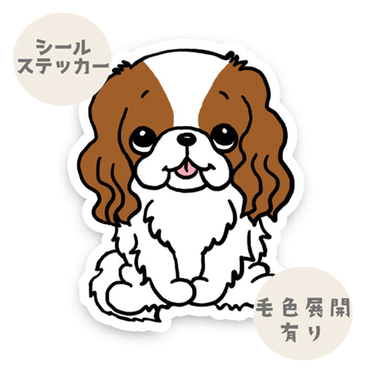 おすわりしてるキャバリアちゃん。26-2