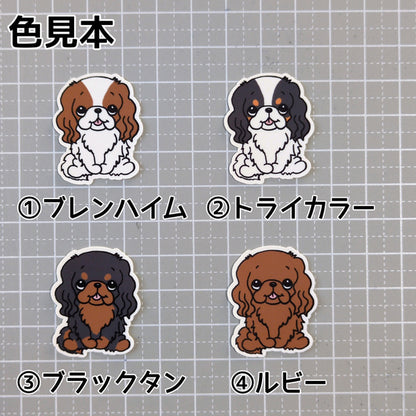 おすわりしてるキャバリアちゃん。26-2