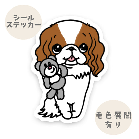 おかえり～のキャバリアちゃん。26-3