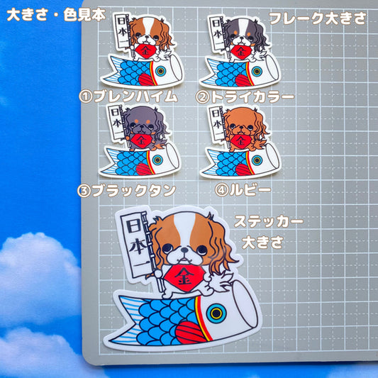 キャバリアちゃんの端午の節句。26-5