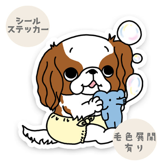 シャボン玉で遊ぶキャバリアちゃん。26-6