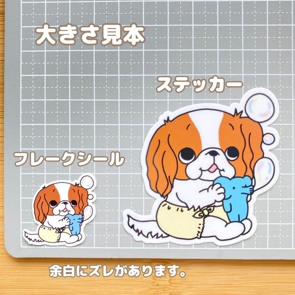 シャボン玉で遊ぶキャバリアちゃん。26-6