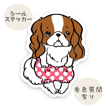 おパンツはけたキャバリアちゃん。26-7