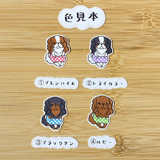 おパンツはけたキャバリアちゃん。26-7