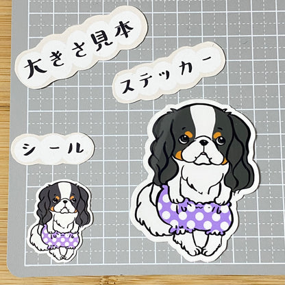 おパンツはけたキャバリアちゃん。26-7