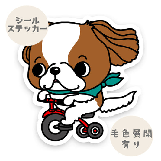 三輪車でどこまでも行くキャバリアちゃん。26-8