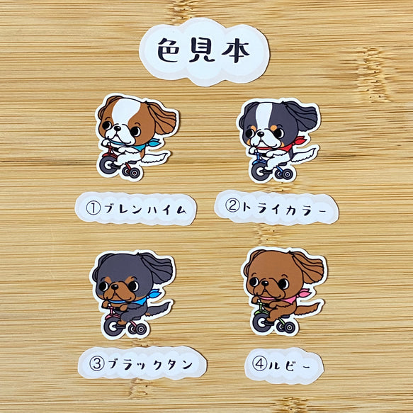 三輪車でどこまでも行くキャバリアちゃん。26-8