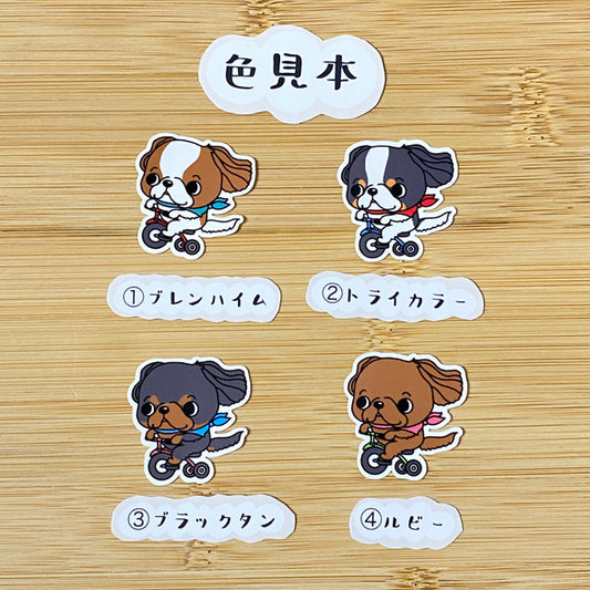 三輪車でどこまでも行くキャバリアちゃん。26-8