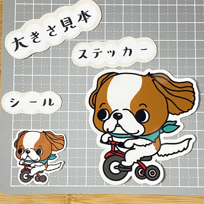 三輪車でどこまでも行くキャバリアちゃん。26-8