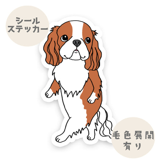 何かが気になってるキャバリアちゃん。 26-9