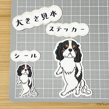 何かが気になってるキャバリアちゃん。 26-9