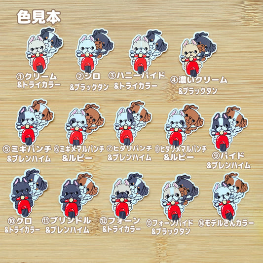 フレブルちゃんとキャバリアちゃんの仲良しスクーター。26-10/96−306