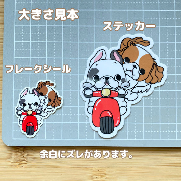 フレブルちゃんとキャバリアちゃんの仲良しスクーター。26-10/96−306