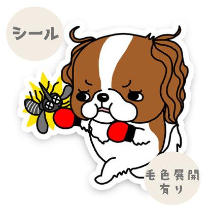 キャバリアちゃんのフィラリア予防。26-13