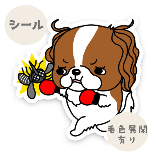 キャバリアちゃんのフィラリア予防。26-13