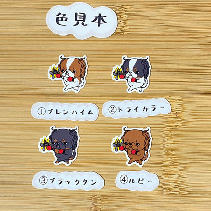 キャバリアちゃんのフィラリア予防。26-13