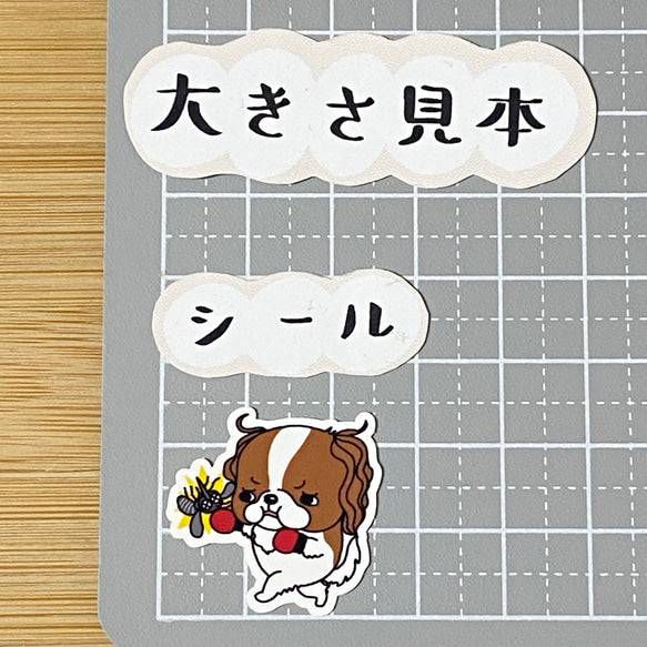 キャバリアちゃんのフィラリア予防。26-13
