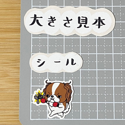 キャバリアちゃんのフィラリア予防。26-13