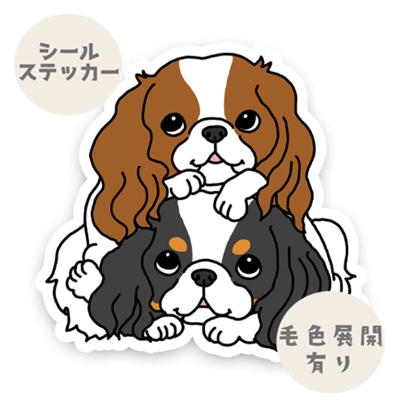 キャバリアだんご。26-14