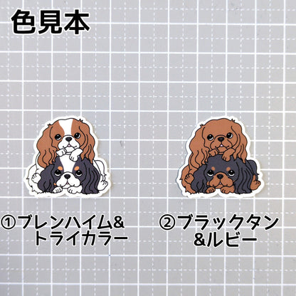 キャバリアだんご。26-14