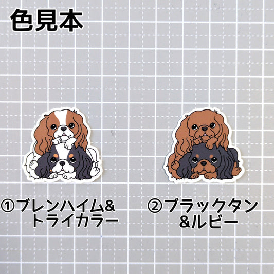 キャバリアだんご。26-14