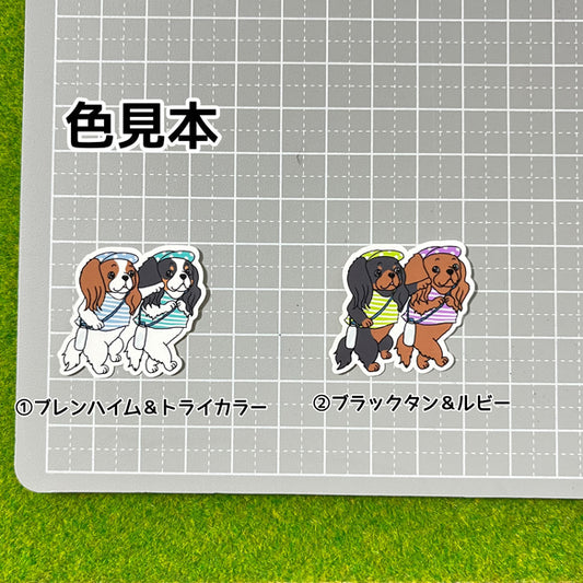 キャバリアちゃんの夏のお散歩。26-15